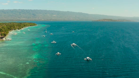 Coral Reef with Turquoise Water Moalboal Philippines