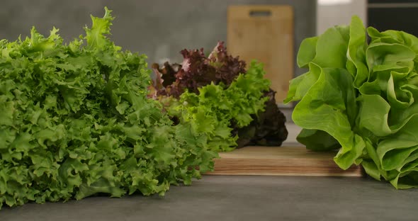 Healthy and Fresh Salad