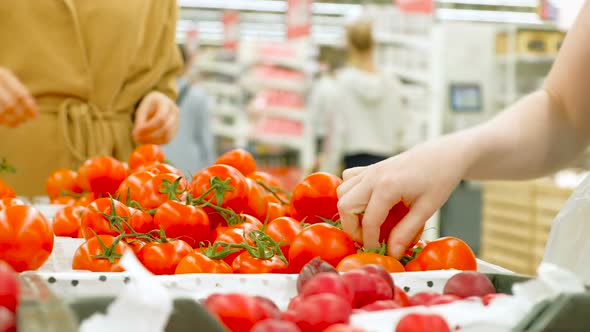 Young Woman Holds White Plastic Bag and Chooses Tomatoes