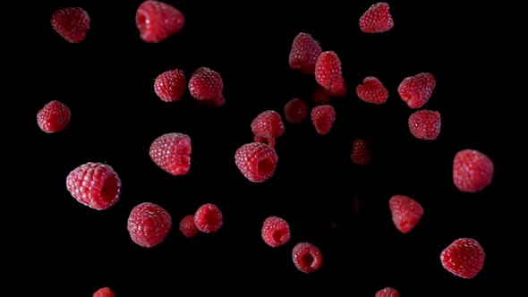 Raspberry with Water Fly To the Camera