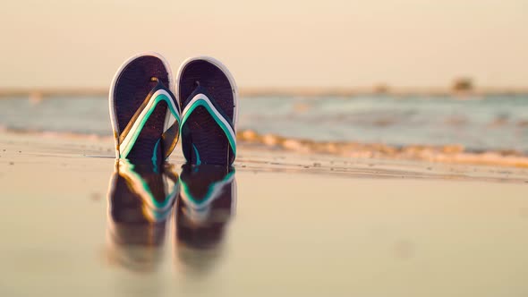 Two Flip Flops on the Beach Washed By the Sea