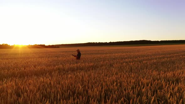 Agronomist checking harvest on field. Farmer in hat with a folder walking among ripe spikelets again