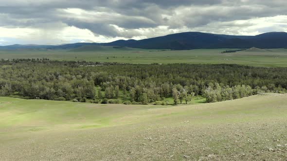 Trees, Forest and Vast Meadow in The Big River in Wide Valley of Asia Geography