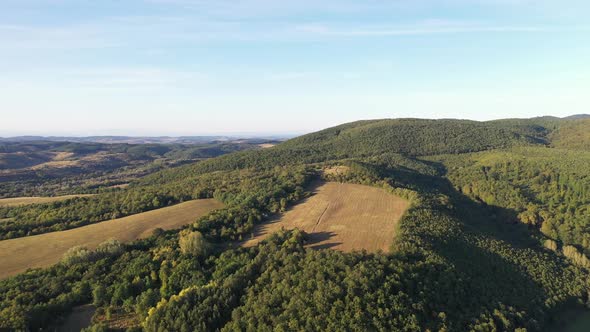 Forest and Hills