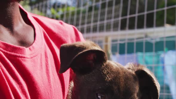 African American volunteer man in a dog shelter with a puppy