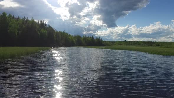 Lake surrounded by vegetation