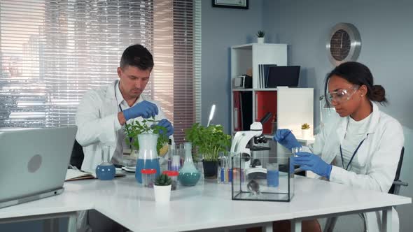 In Modern Laboratory Scientist Helping His Colleague To Conduct the Experiment By Preparing