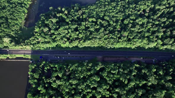 Aerial View of a Car Road in Leafless Forest