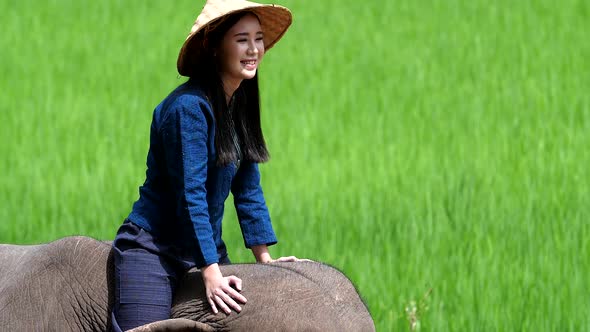 Young Lady Riding An Elephant At Field 