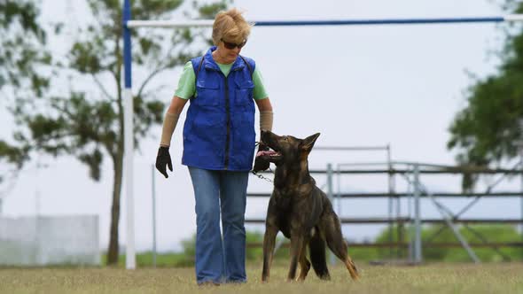 Shepherd dog with his owner in the field 