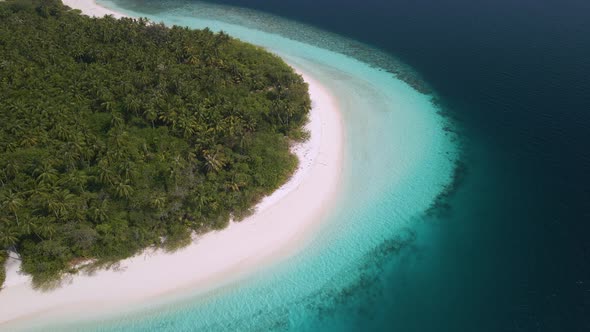 Top view of the Maldivian island with green trees located in the blue water of the open sea