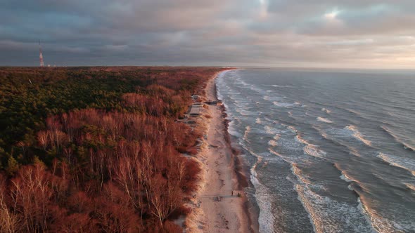 Large waves with white crests roll out over a sandy beach with an adjacent dense forest illuminated