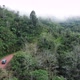 Traveling by Van Through the Foggy Jungle - VideoHive Item for Sale