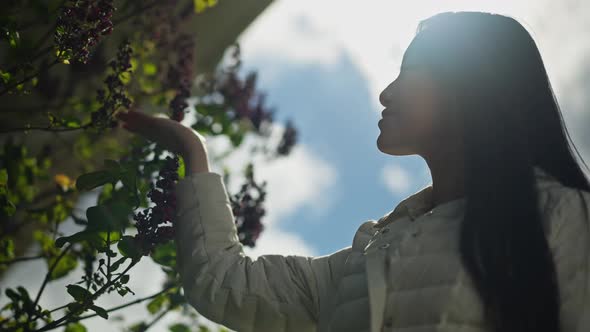 Young Smiling Asian Millennial Standing in Sunrays Admiring Blossom on Tree Branch