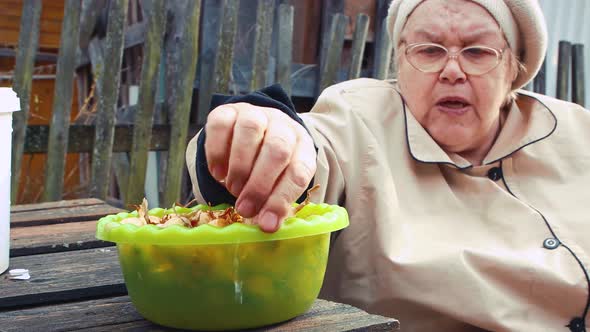 An Elderly Woman Disassembles and Examines Onion Seedlings for Planting