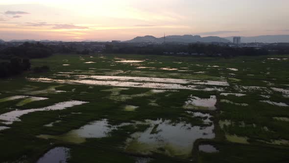 Silhouette paddy field under dramatic sunset