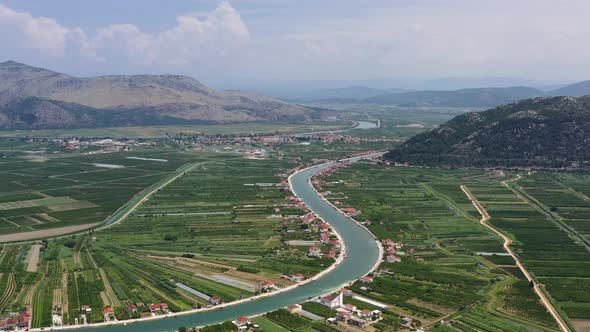 Aerial landscape. Air view of the vineyard. Agricultural landscape from the drone.