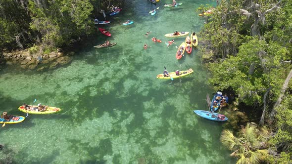 Kayakers and people swimming in Thre Sisters Spring, Florida. Near crystal river, aerial view