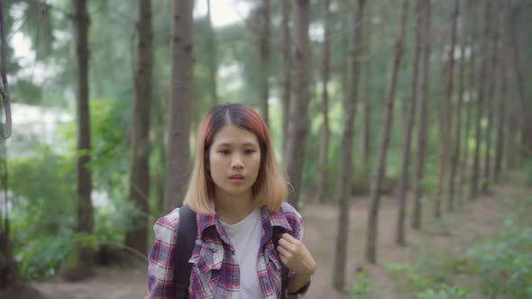 Hiker Asian backpacker woman on hiking adventure feeling freedom walking in forest.