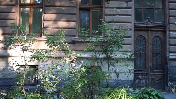 Tourist Takes Pictures of Buildings in Old City