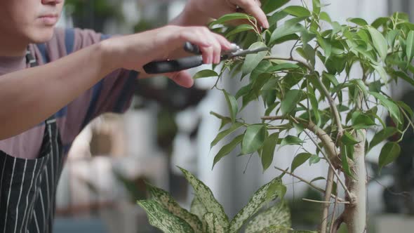 Man's Hands Holding Pruning Shears And Trimming Plants At Home