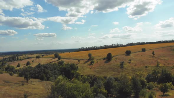 Aerial View of Green Fields and Hills on the Countryside, Green Valley, Village Skyline