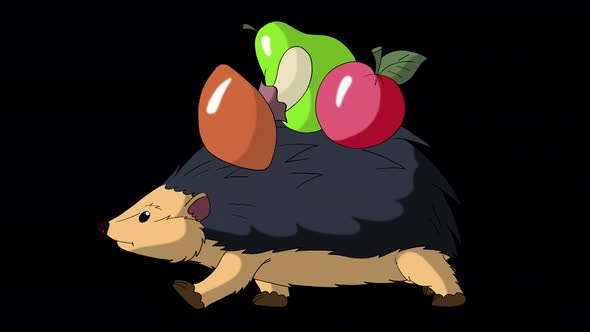 Hedgehog walks and carries apples and mushrooms alpha matte