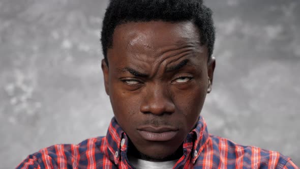 Close Up Face Adult African American Man Looking Camera on Background Gray Wall