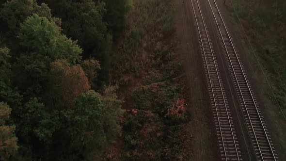 Tilt up aerial shot of railway tracks in the autumn forest.