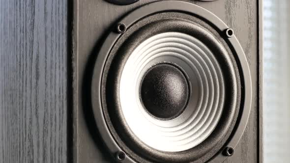 Acoustic sound speakers. Multimedia, audio and sound concept.