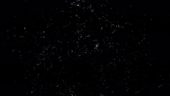 Water splashing explode from center around itself alt