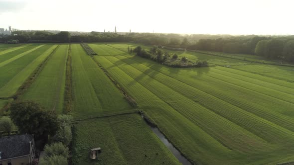 Aerial Slowmotion of Beautiful Dutch Countryside during Sunset with Nice Shadows from the Green Tree