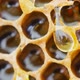 A Drop Honey Flows Down the Honeycomb. Fresh Honey Drips By Honeycomb - VideoHive Item for Sale