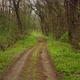 Dirt Road Hiking in Green - VideoHive Item for Sale