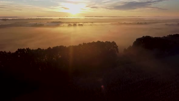 Morning Fog Over Fields and Gardens