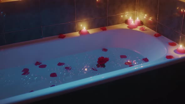 Red Petals and Soap Bubbles Fall Into a Romantic Bathtub