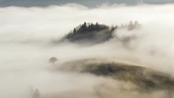 Mystic Foggy Morning in Autumn Country