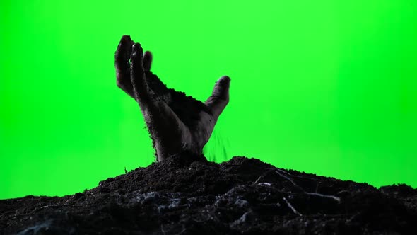 Zombie Hand Emerging From the Ground Grave. Halloween Concept. Green Screen. 011