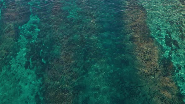 The stunning green, dark and brown colors of the corals in Fiji - aerial