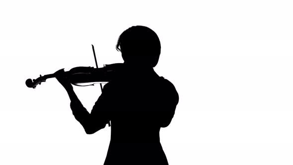 Violinist Performs on a Violin in a White studio.White Background. Silhouette