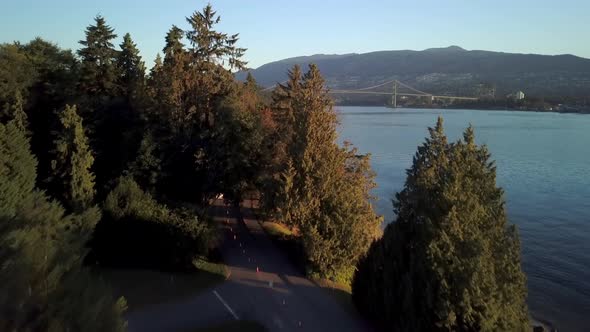 A Quiet And Empty Park Of Stanley With Green Trees Reveals The Lions Gate Bridge Over The The Burrar