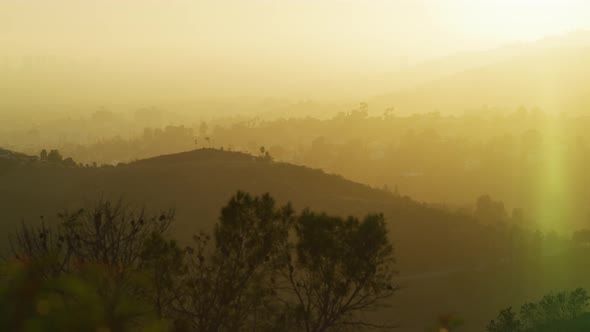 Hollywood Hills in the evening