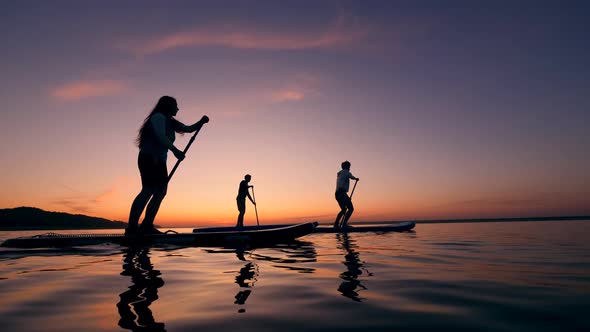 Young People Are Riding Paddleboards Across the Sunset Lake