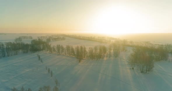 Aerial Drone View of Cold Winter Landscape with Arctic Field, Trees Covered with Frost Snow and