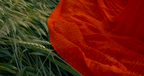 Detail View of Skirt of Red Female Dress Lying on Green Ears of Rye in Field in Daytime