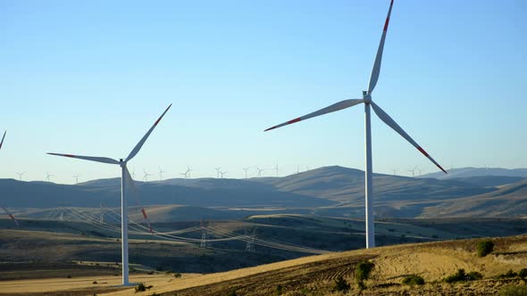 Wind Tribunes and Landscapes