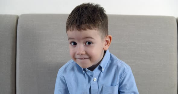 Portrait of Funny Little Boy Smiling Child Looking at Camera Sitting on Sofa at Home Cute Preschool