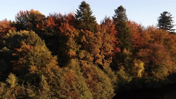 Aerial view of beautiful lake with seabirds and trees with autumn colours in Sealand, Denmark