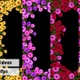 Flower Frames - VideoHive Item for Sale