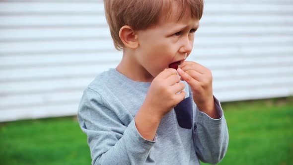 Child 4 Years Old Holding and Eating Raspberries in Backyard